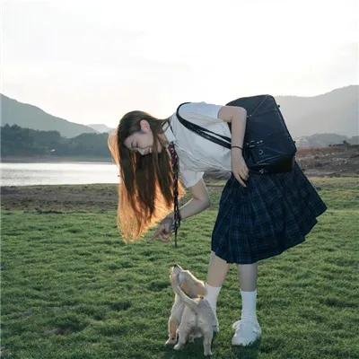 人工进化