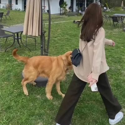 我的家里空无一物